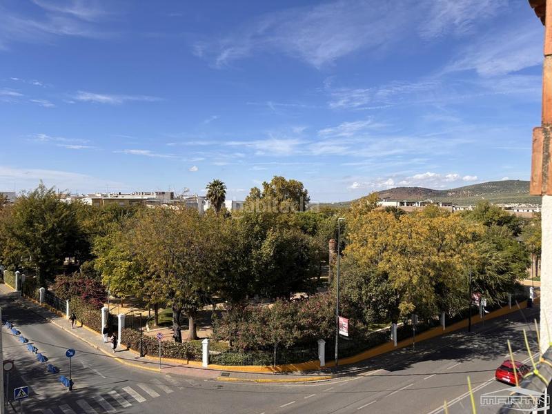 Foto 5b8ef266-8877-4e64-806f-8f282caaf194. Piso en Centro Lucena