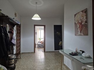 Flat  Catalina marín