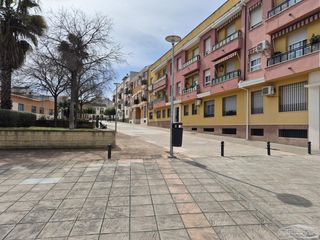 Appartamento  De carlos cano