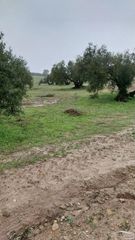 Rural plot in Paraje rio anzur 11