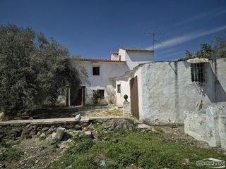 House  Diseminados poleares