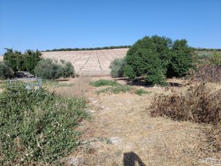 Finca rústica  Paraje el contaero