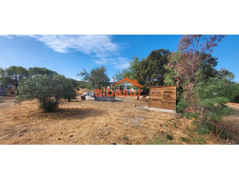 Foto 8bc813e5-277b-4e0b-81b3-99babb08a91b. House in El Brillante -El Naranjo - El Tablero Córdoba