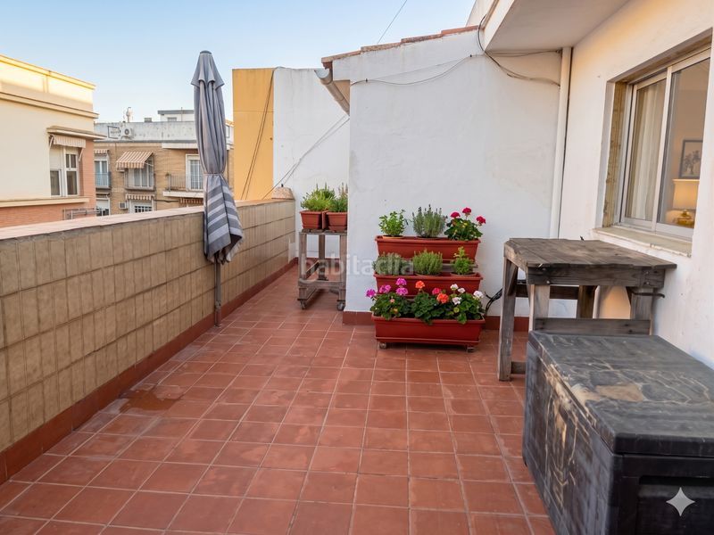 Foto aa241c78-31fb-44e6-b814-2322e4741c47. Àtic a Viñuela - Rescatado Córdoba