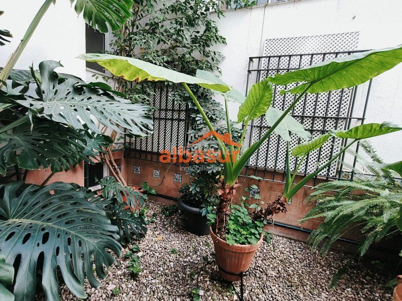 Foto 9d7d5825-531c-4524-a969-30ba8d60ec6e. Pis amb calefacció a casco histórico - ribera - san basilio Córdoba