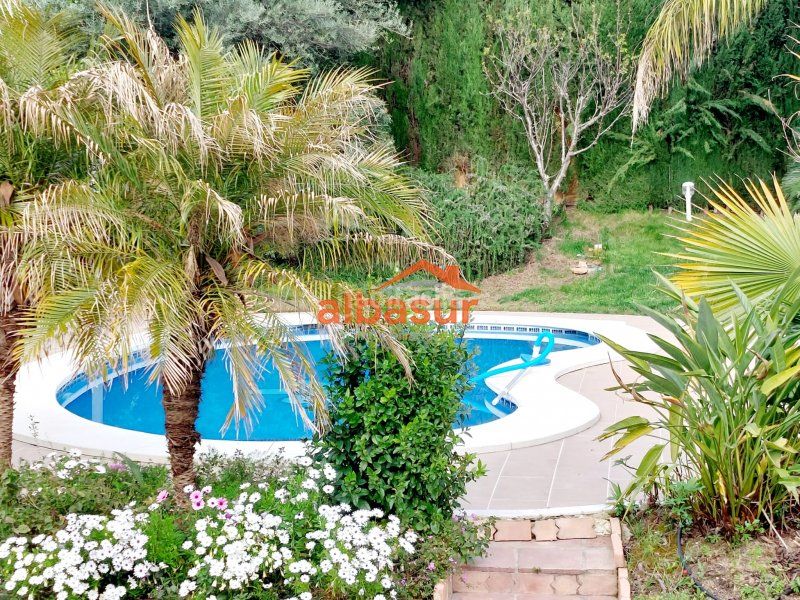 Foto 612814bd-d32a-41e6-837b-8d6c28028d56. Xalet amb calefacció aparcament piscina a Alcolea Córdoba