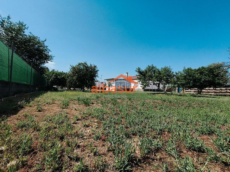 Foto a1b70f9c-be6e-4515-8600-f213e0679089. Haus in calle cuevas bajas 57 in Almodóvar del Río