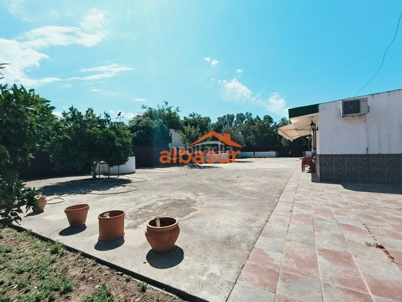 Foto b835a34b-487f-4007-a1ab-27017b752783. Haus in calle cuevas bajas 57 in Almodóvar del Río