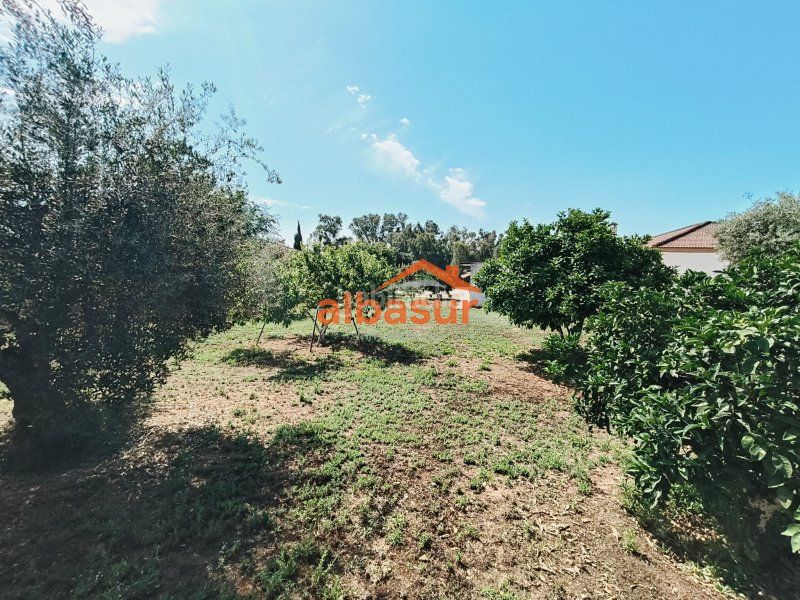 Foto e201c0a8-ed1e-4352-b5a3-095198ce24cc. Haus in calle cuevas bajas 57 in Almodóvar del Río