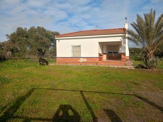 Lloguer Finca rústica a Avenida palos de la frontera 104. Finca rustica con chalet en niebla