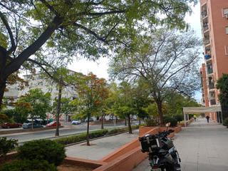Local Comercial en Avenida de Cristóbal Colón 7R
