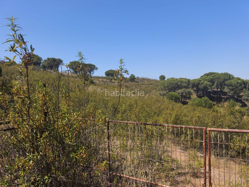 Foto b00e2cef-0b86-4ead-b649-837da7ddcedb. Finca rústica a a-496 22 a Valverde del Camino