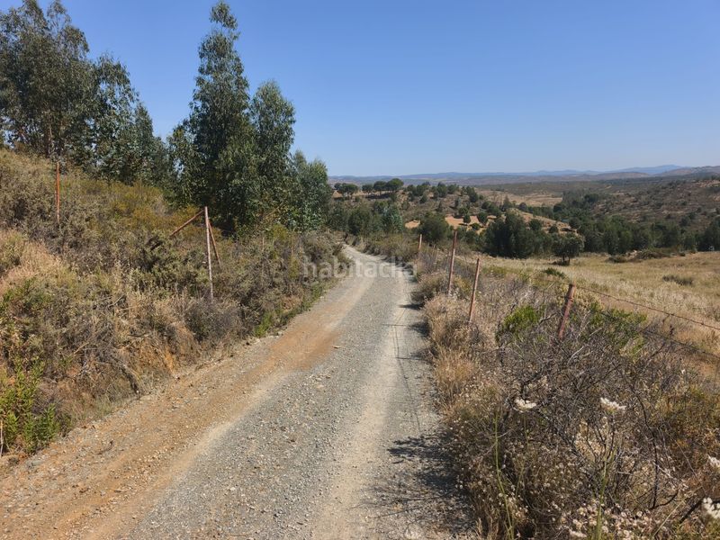 Foto b3ba87cc-95b8-4f8c-9365-b14bc509c45c. Finca rústica a a-496 22 a Valverde del Camino