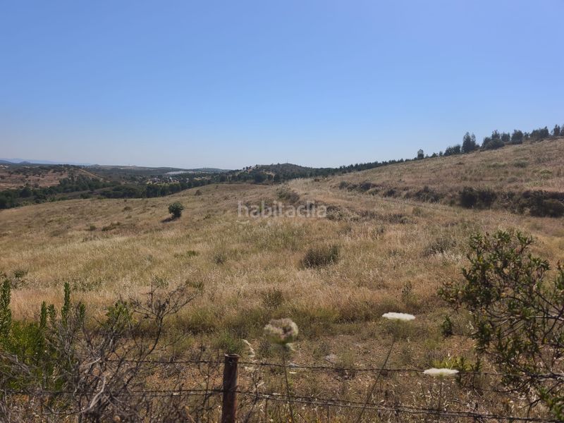 Foto b63687d6-bc37-474b-83fd-61153600acc6. Finca rústica a a-496 22 a Valverde del Camino