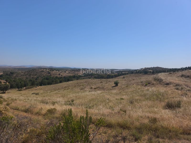 Foto b973d3e9-a203-4eac-b6b5-8fbc96f5efd1. Finca rústica a a-496 22 a Valverde del Camino