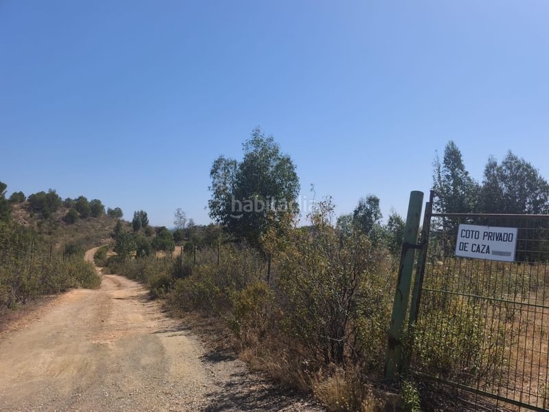 Foto bad6f053-a90c-46c2-90e2-a4551c3ed4df. Finca rústica a a-496 22 a Valverde del Camino
