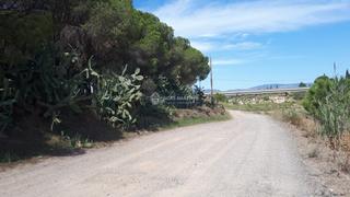 Terreny residencial  Partida guardamá o emprius  riera de alforja con carretera del p. Se vende terreno en el poligona 29 de cambrils  riera de alforja