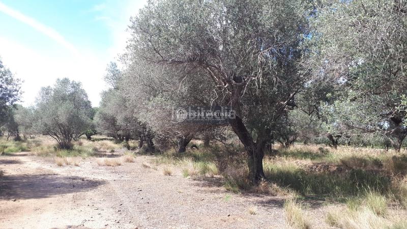 Foto 0a04254e-a28e-477e-8bd8-588e5fd4d67a. Residential plot in Cambrils port Cambrils