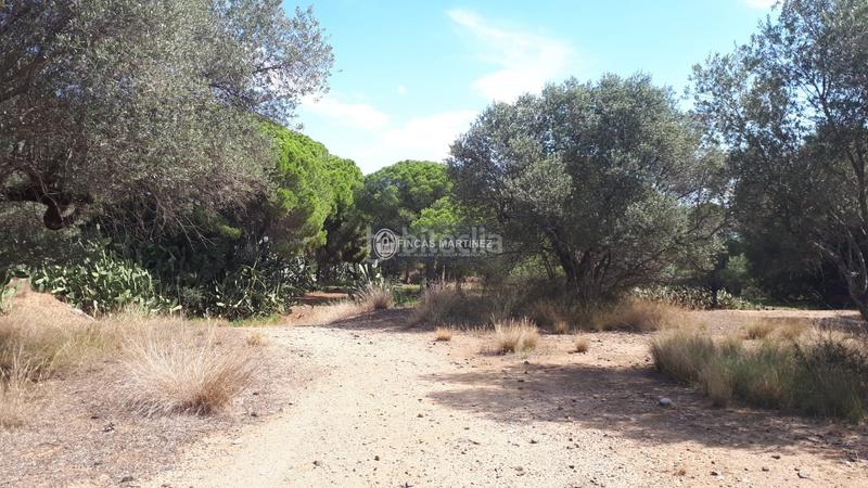 Foto 5be66665-a30a-46c9-a2f4-70613a0b16fd. Residential plot in Cambrils port Cambrils
