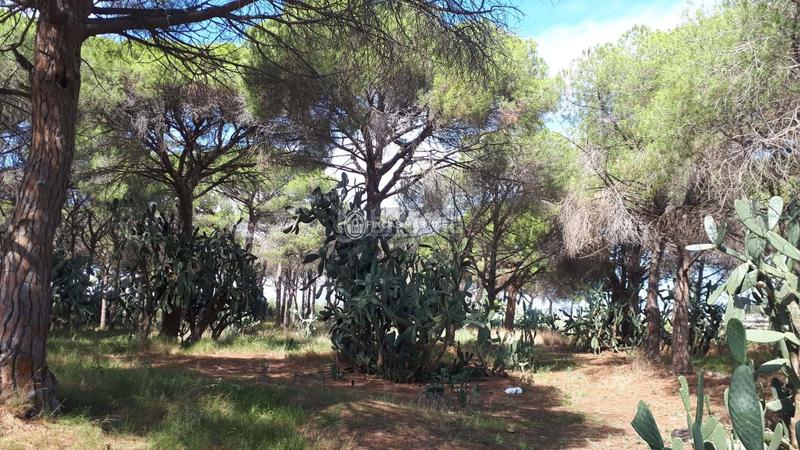 Foto 7904b0aa-493e-4685-817b-d49d99bd2856. Residential plot in Cambrils port Cambrils