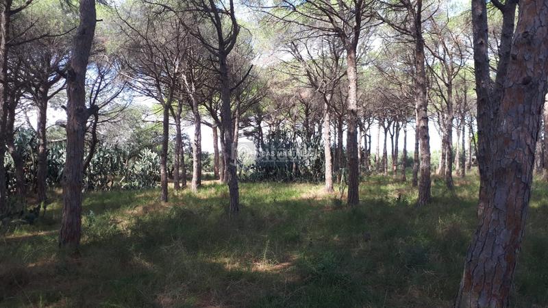 Foto 7d076a1b-a8e6-4391-87a7-6a79cfab927d. Residential plot in Cambrils port Cambrils