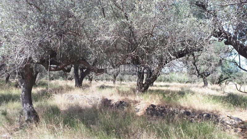 Foto 7e410520-35f3-48aa-9ce4-9b9e425d3449. Residential plot in Cambrils port Cambrils