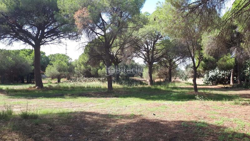 Foto ae9e864a-8111-45d3-86a6-48757c797558. Residential plot in Cambrils port Cambrils