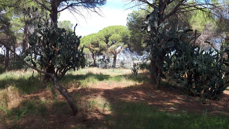Foto c0600314-ea35-4c70-9f4c-d3e07f381961. Residential plot in Cambrils port Cambrils