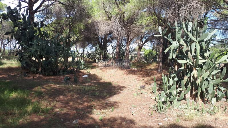 Foto f97ec7da-d8dd-42e2-9ce3-d7c236ddea13. Residential plot in Cambrils port Cambrils