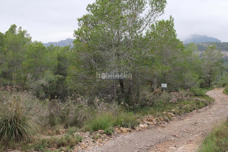 Foto 142e9594-9e8b-494c-a4d8-f274905d01f8. Wohngrundstück in Poble Mont-roig del Camp