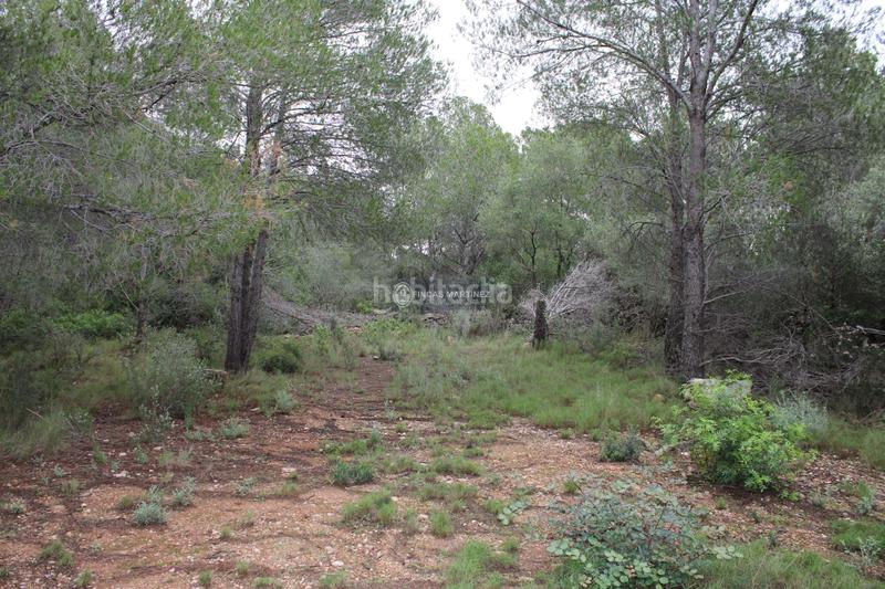 Foto 2f8772f4-00a3-4965-9f3d-a36196bf58c2. Wohngrundstück in Poble Mont-roig del Camp