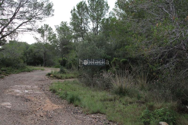 Foto 4376ae3e-0a65-4c1f-adc0-8c33a582b383. Wohngrundstück in Poble Mont-roig del Camp