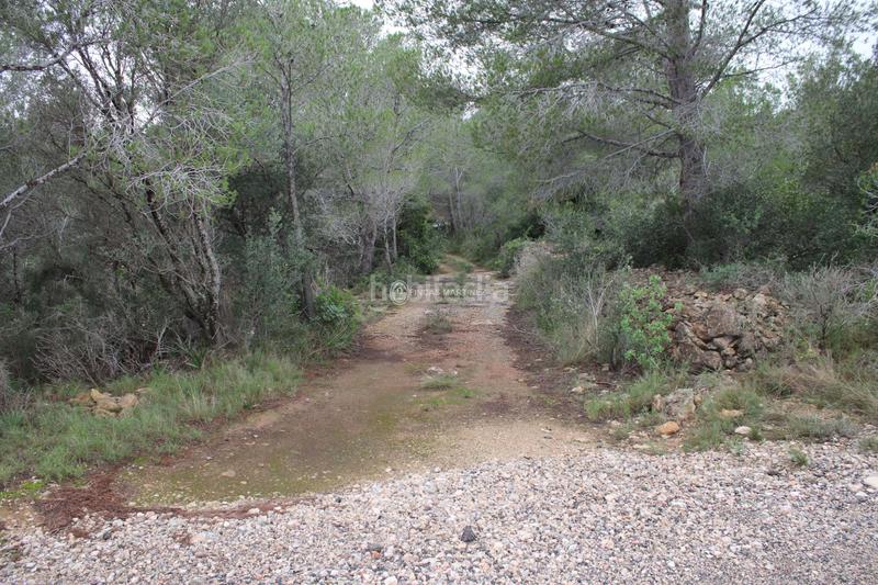 Foto 6f8f15f8-bed6-468d-ac62-43fc5ad0c255. Wohngrundstück in Poble Mont-roig del Camp