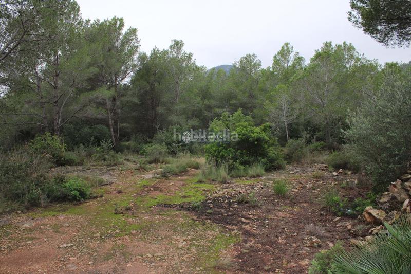 Foto 96f1e161-7f7f-4384-80f6-6b35b11ba7cc. Wohngrundstück in Poble Mont-roig del Camp