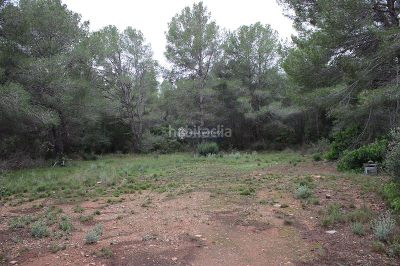 Foto a658805c-2473-4c7a-a944-d32c71c114fb. Wohngrundstück in Poble Mont-roig del Camp