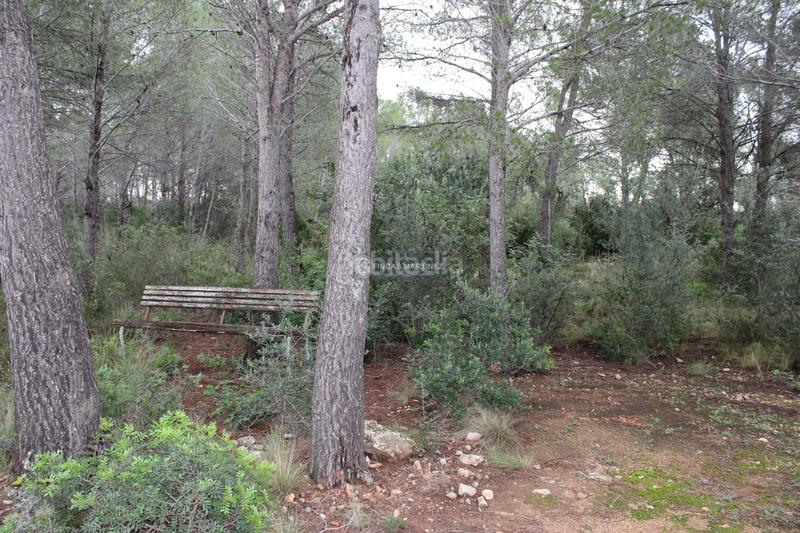 Foto b3f22baf-2103-47fc-b50a-612f38fda200. Wohngrundstück in Poble Mont-roig del Camp