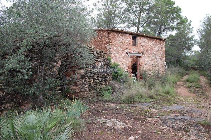 Foto bcbda84b-3b4a-45ab-bcac-2a8b798ad7e7. Wohngrundstück in Poble Mont-roig del Camp