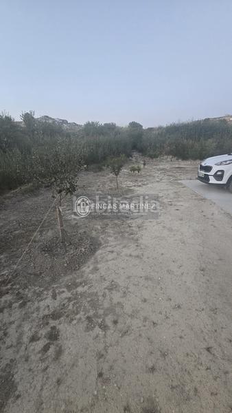 Foto e45a6ff3-c614-4677-92fe-99034a808b35. Estudio se vende finca con casita a estrenar en el barrio de la cruz, con un ambiente de espacios amplios y en el campo rodea en Castilléjar
