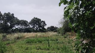 Residential Plot in Alcolea. Oportunidad única en urbanización el sol