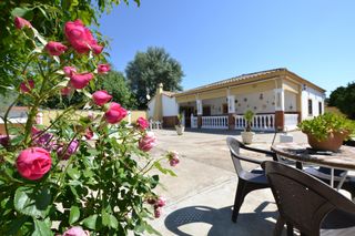 Masia a El Higuerón. Tu oasis privado a un paso de córdobaespectacular parcela en avd