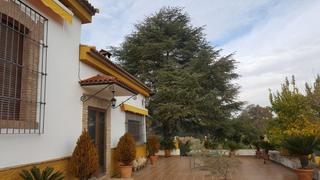 Xalet a Andújar. Venta de parcela con casa chalet en carretera del santuario km.