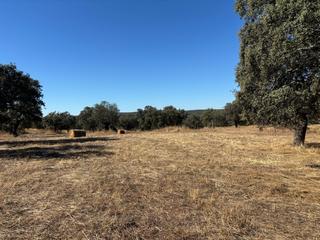 Propriété à Pozoblanco. Venta de finca agrícola y ganadera!