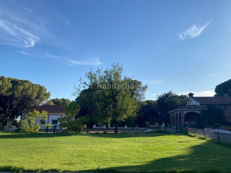 Foto ad6ce9cb-2c27-49d1-a3cc-67ea80018d5e. Xalet amb piscina a El Brillante -El Naranjo - El Tablero Córdoba