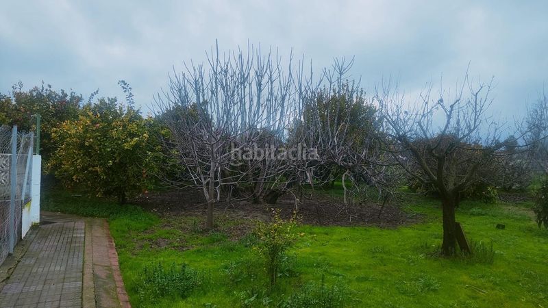 Foto e403a41c-e4e0-4a81-aeb2-b3141ce440bf. Xalet amb piscina a Alcolea Córdoba