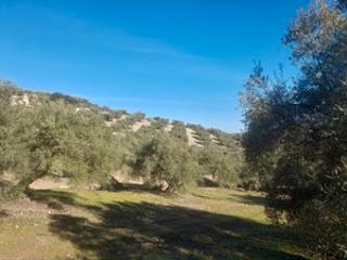 Propriété à Camino del pato 50. Finca el quemao, villanueva de algaida, malaga