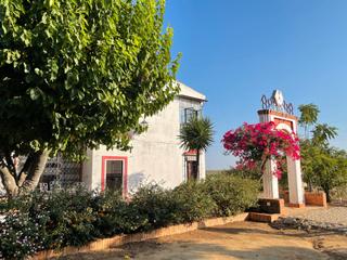 Chalet à Calle mª stma de los dolores 5. Estupenda finca en villanueva del ariscal, sevilla