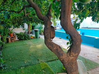 Residential Plot in N/a