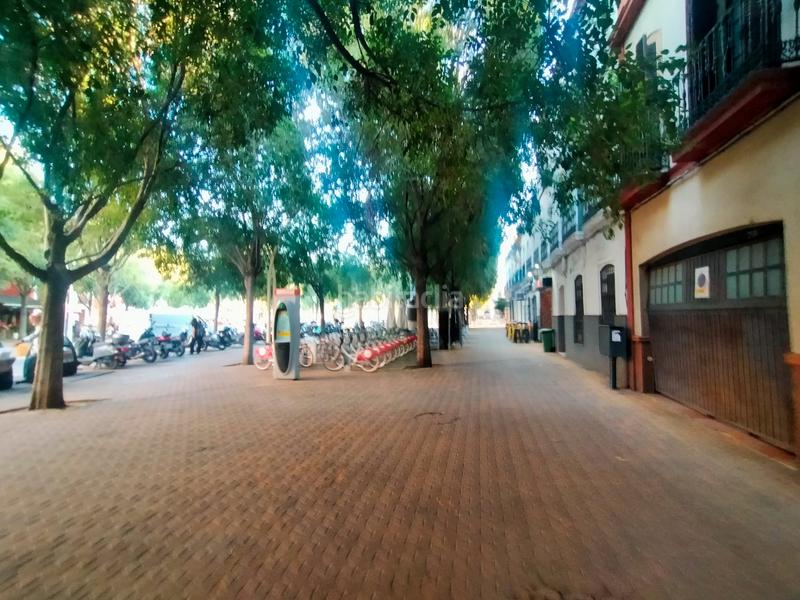Foto a2aecac9-0aa1-48e3-ae5b-baabf6460f55. Estudio en calle calatrava 1 estupendo estudio en el centro , zona alameda de hercules en Sevilla