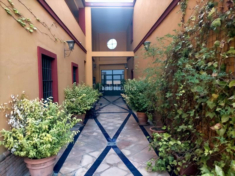 Foto a3e3338a-d3e2-4b97-9cab-a3d6c30e95f7. Estudio en calle calatrava 1 estupendo estudio en el centro , zona alameda de hercules en Sevilla