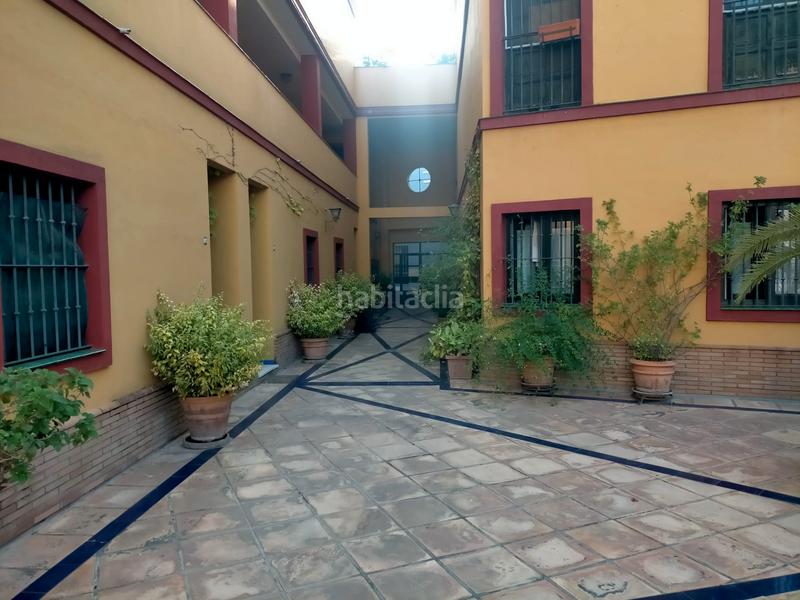 Foto b8f2b855-c912-4616-a547-2cd03e118889. Estudio en calle calatrava 1 estupendo estudio en el centro , zona alameda de hercules en Sevilla